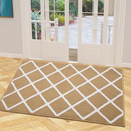 Finchitty Indoor Door Mat, Dirt Resistant Doormat by Finchitty