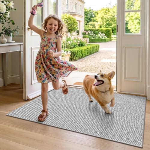 LUMI Ultra Thin Indoor Door Mat 36"x56", Entrance Doormat, Light Gray - Image 5