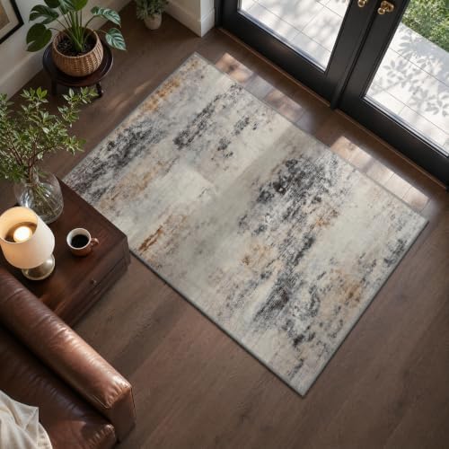 Toneed Washable 2x3 Grey/Brown Area Rug by Toneed