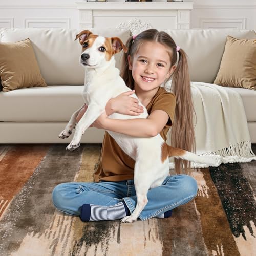 Ciicool 3x5 Rugs for Entryway, Modern Abstract Washable Soft Carpet Brown - Image 6
