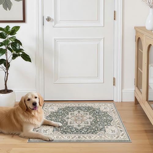 Vintage Entryway Area Rug 2x3 - Image 7
