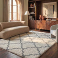 SAFAVIEH Dallas Shag Collection X-Large Area Rug by Unknown