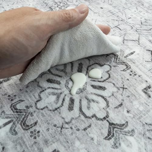 Washable Area Rugs 2x3 Entryway: Soft Ultra Thin Low Pile Mat Machine Washable - Image 4
