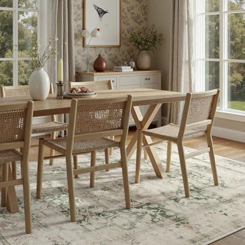 DCX Washable 5x7 Area Rug Distressed Vintage Rug - Image 3