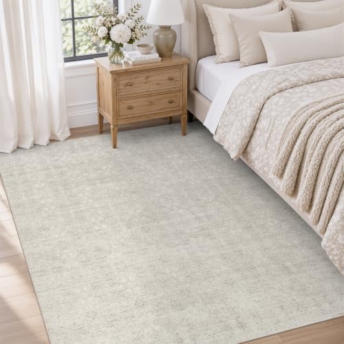 DCX Washable 4x6 Area Rug for Living Room by DCXWashableRug