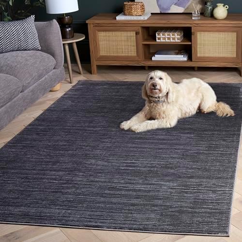 SAFAVIEH Vision Area Rug 6x9 - Image 6