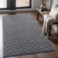 AROGAN Washable Indoor Door Mat, Low Profile Entry Rugs 36x60 Inch by AROGANAREARUG