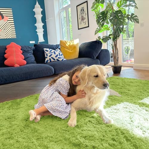 OLANLY 5x7 Machine Washable Large Area Rugs - Image 5