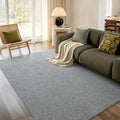 6x9 Large Grey Area Rug Washable Non-Slip Soft Thin by Unknown