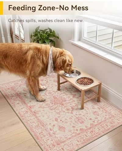 RELEANY Washable Area Rug, Small 2'x3' - Image 2