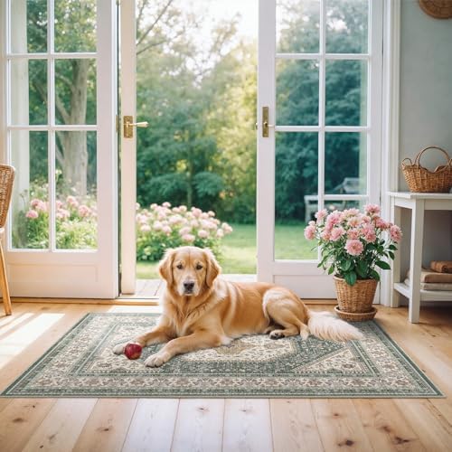 2x4 Washable Entryway Area Rug by Puino