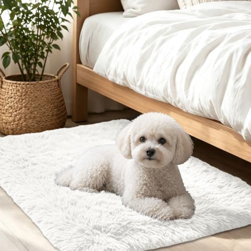 Smiry Area Rugs for Living Room Bedroom 2x3 ft, Fluffy Washable Carpet by Smiry