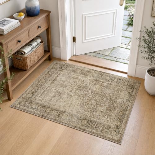 FMFUNCTEX 2x3 Washable Brown Vintage Distressed Retro Soft Entryway Rug by Fmfunctex