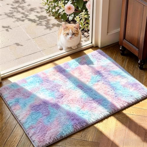 2x3 Blue Rainbow Fluffy Area Rug - Image 4