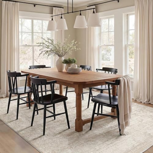 Homemate Washable Rug 6x9 Area Rugs by Homemate