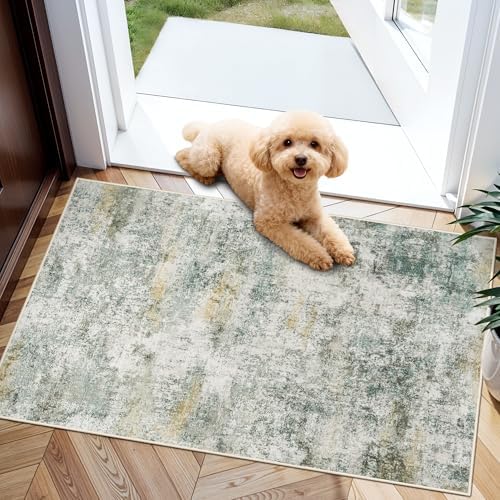 2x3 Runner Rug Washable Abstract: Soft Low Pile Carpet by HILORUUG