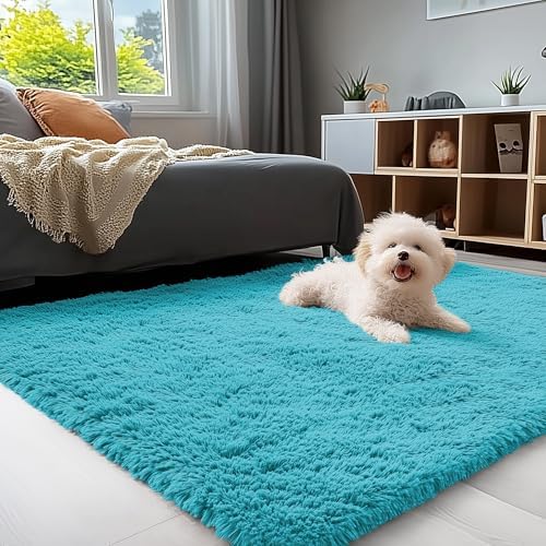 OLANLY 3x5 Machine Washable Small Bedside Rug, Soft Fluffy Shaggy Rugs by OLANLY