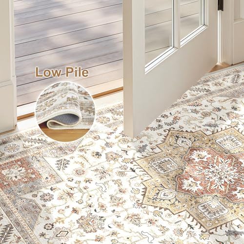 cotiled 3x5 Area Rug for Living Room, Traditional - Image 4