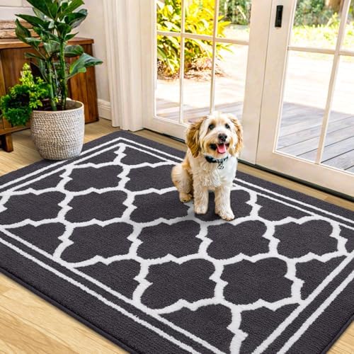 Buganda Indoor Door Mat, Dirt Resistant Doormat, Dark Grey by Buganda