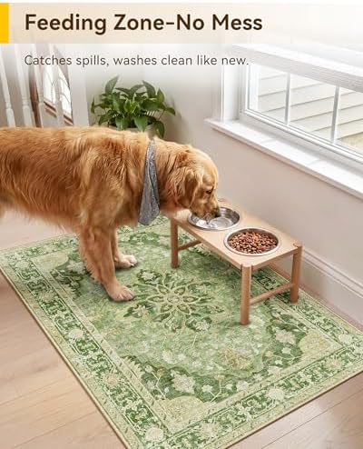RELEANY Washable Area Rug, Small 2'x3' - Image 4
