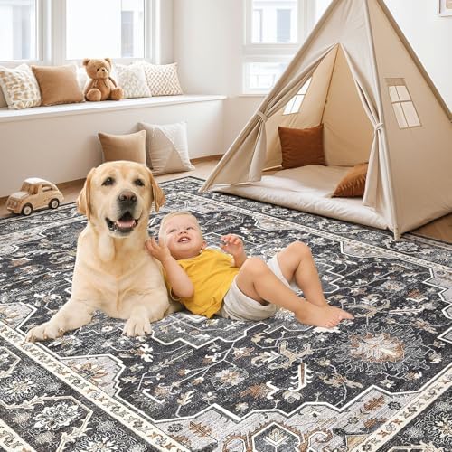cotiled 8x10 Area Rug for Living Room, Traditional - Image 4