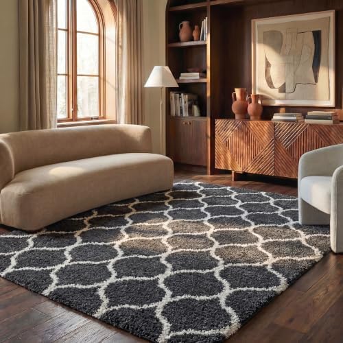 SAFAVIEH Hudson Shag Rug 8'x10', Soft Plush Dark Grey & Ivory SGH280G by Unknown