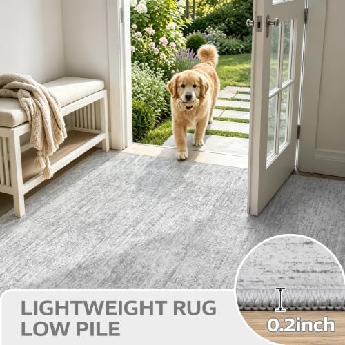 8x10 Area Rugs - Image 6