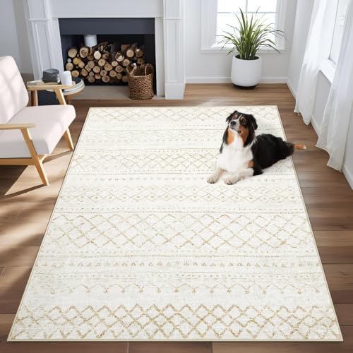 Area Rug 4x6 Geometric Rugs: Washable Boho Moroccan Rug Modern Neutral Stain by AOYAOMI