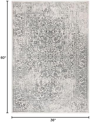 SAFAVIEH Evoke Accent Rug 3x5, Ivory & Grey EVK256F - Image 2
