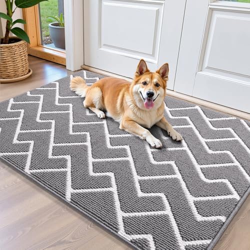OLANLY Front Door Mat 40x32, Low-Profile Easy Clean Doormat by OLANLY