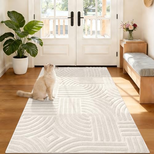 Pauwer 3x5 Area Rug for Living Room, Modern Bedroom Floor Carpet by Pauwer