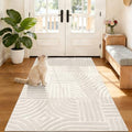 Pauwer 3x5 Area Rug for Living Room, Modern Bedroom Floor Carpet by Pauwer