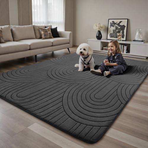 Sour Lemon 6x9 Area Rugs for Living Room Bedroom, Large Carpet Grey Rug - Image 6