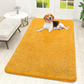 OLANLY Dog Door Mat for Muddy Paws 59x32, Super Absorbent Chenille Mud Mat by OLANLY