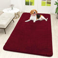 OLANLY Dog Door Mat for Muddy Paws 59x32, Super Absorbent Chenille Mud Mat by OLANLY