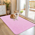 OLANLY Dog Door Mat for Muddy Paws 45x27, Super Absorbent Chenille Mud Mat by OLANLY