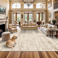 TOPRUUG Washable 12x15 Area Rug: Large Rugs by TOPRUUG