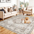 5x5 Area Rug Washable Living Room Rugs: 5ft Square Ultra Thin Soft Oriental by YOUFORTONG