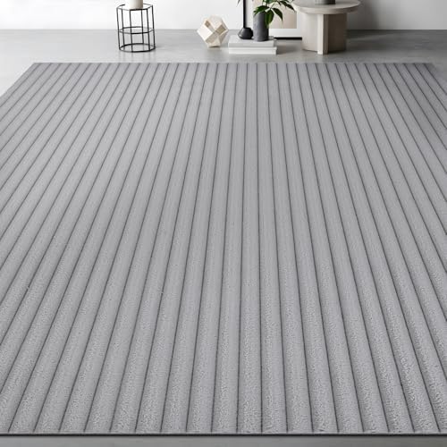 Fluffy Area Rug 4 x 6 Modern Durable Ultra Soft Plush Ribbed Indoor Rugs - Image 5