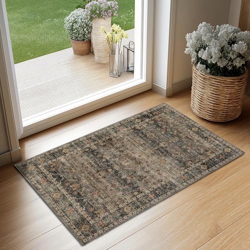 Ruaruarug Washable Small Area Rug 2×3 by Ruaruarug