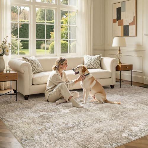 DMOYEST Area Rug Living Room Rugs - Image 6