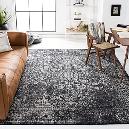 SAFAVIEH Evoke Accent Rug 3x5 by Unknown