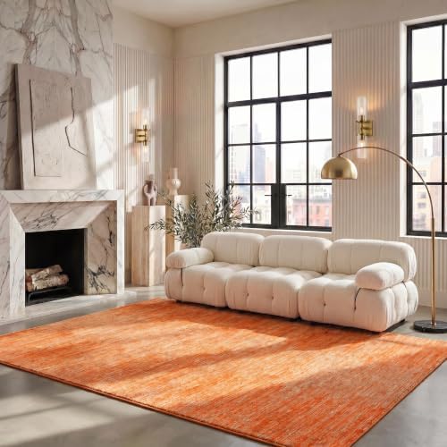 SAFAVIEH Vision Area Rug 6x8 by Unknown