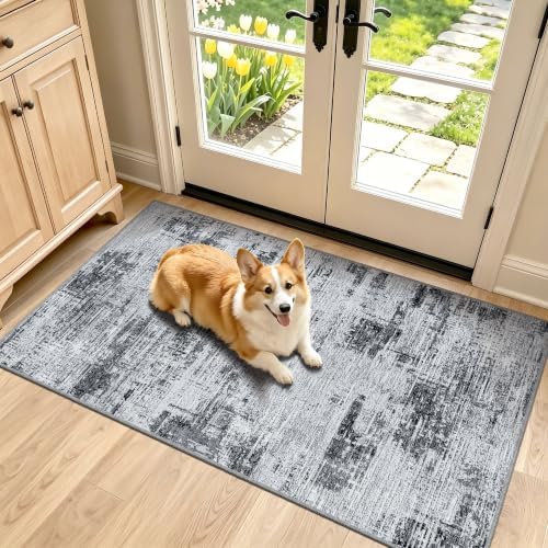 Entryway Runner Rug 2x4ft, Non Slip Carpet Runner, Dark Gray by TTelephant