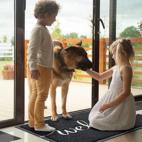 Door Mat Welcome Mat Floor Mat for Entryway, High Traffic Areas - Image 2