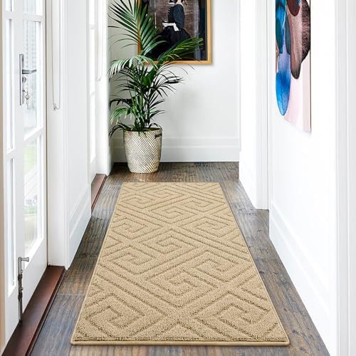 AROGAN Washable Chenille Hallway Runner Rug Non Slip Mat, 24x60 Inch by AROGANAREARUG