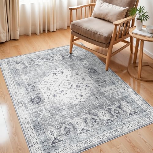 RUUGME 3x4 Washable Area Rug: Indoor Soft Low Pile Carpet by RUUGME