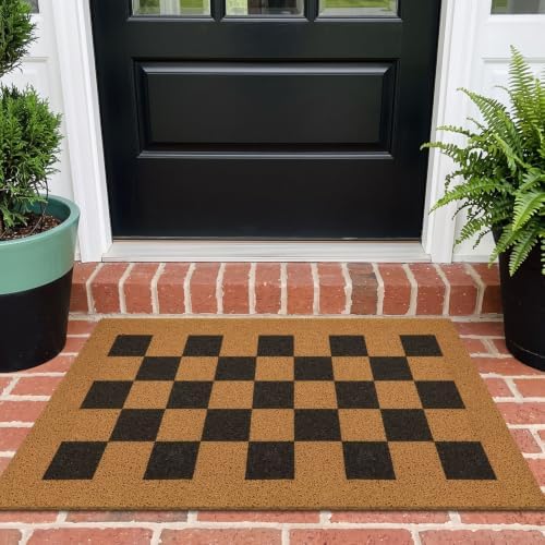 EARTHALL Door Mat Outdoor Indoor Doormat, Durable Floor Mat Non Slip Rug Ultra by EARTHALL