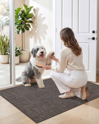 DEXI Thin Door Mat Indoor Entrance 36x56, Non Slip Entryway Mat - Image 2