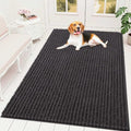 OLANLY Dog Door Mat for Muddy Paws 59x35, Ultra-Absorbent Chenille Mud Mat by OLANLY